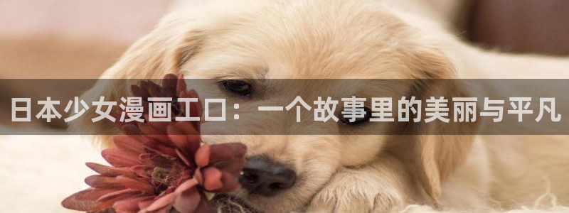 新新漫画镜像站
